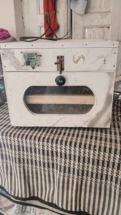 100 egg incubator