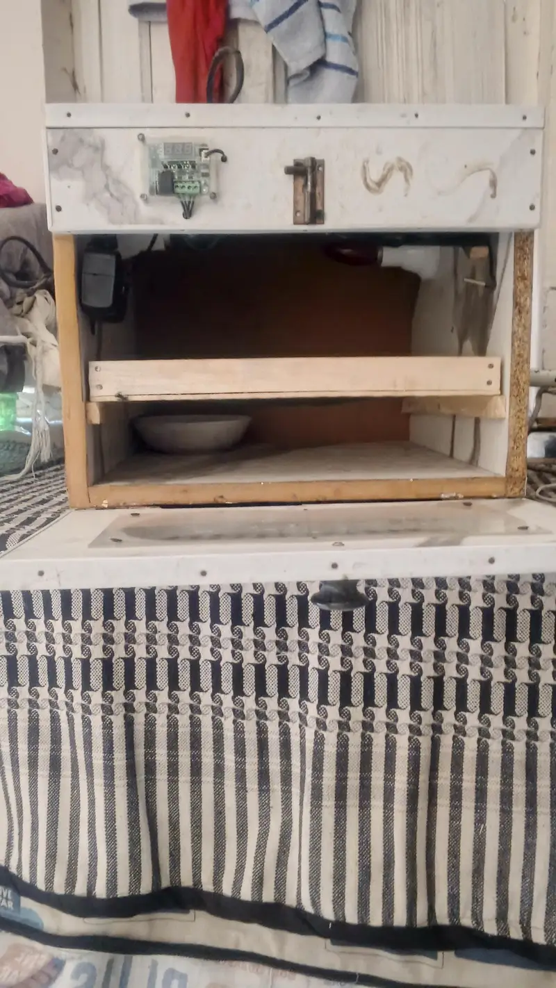 100 egg incubator — photo 2