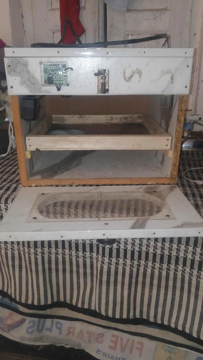 100 egg incubator — photo 4