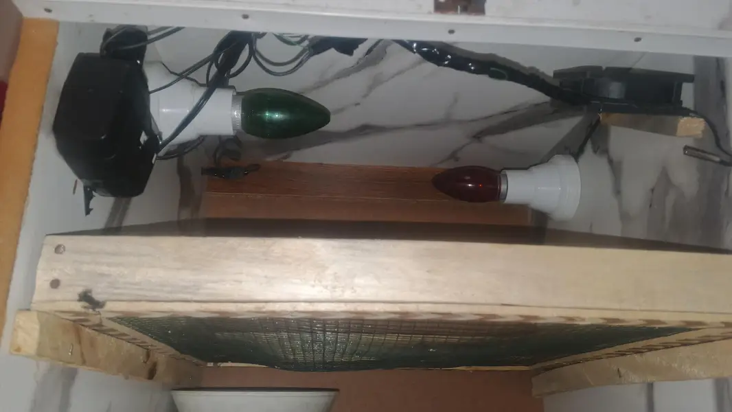 100 egg incubator — photo 5