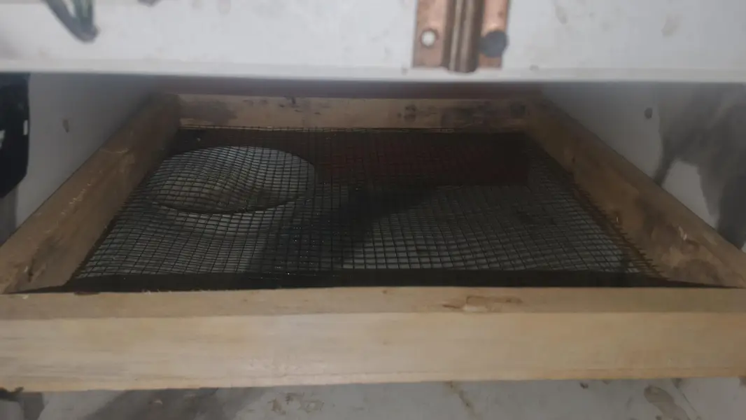 100 egg incubator — photo 7