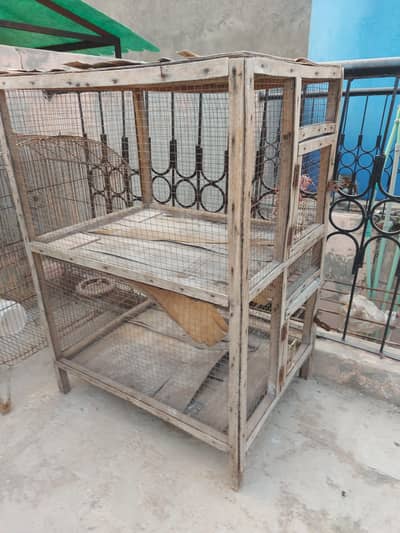 cage hen and pigeon and parrot cage