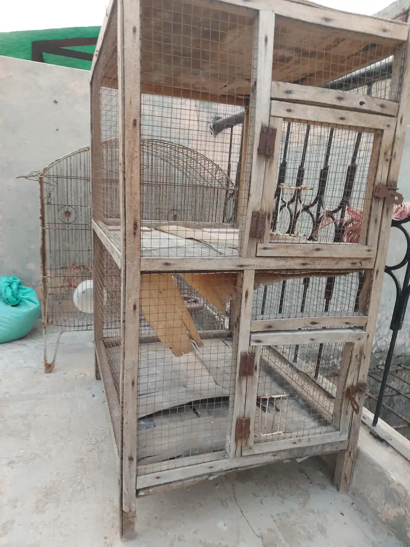 cage hen and pigeon and parrot cage — photo 3