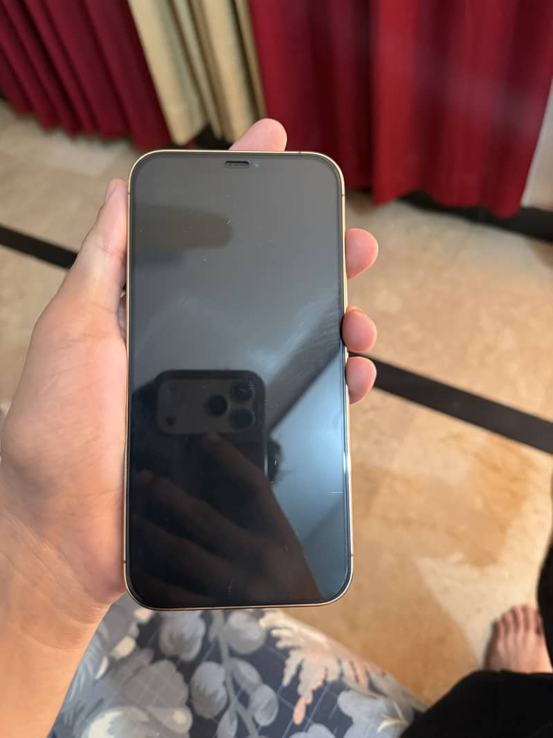 Apple iPhone 12 Pro Max 1
