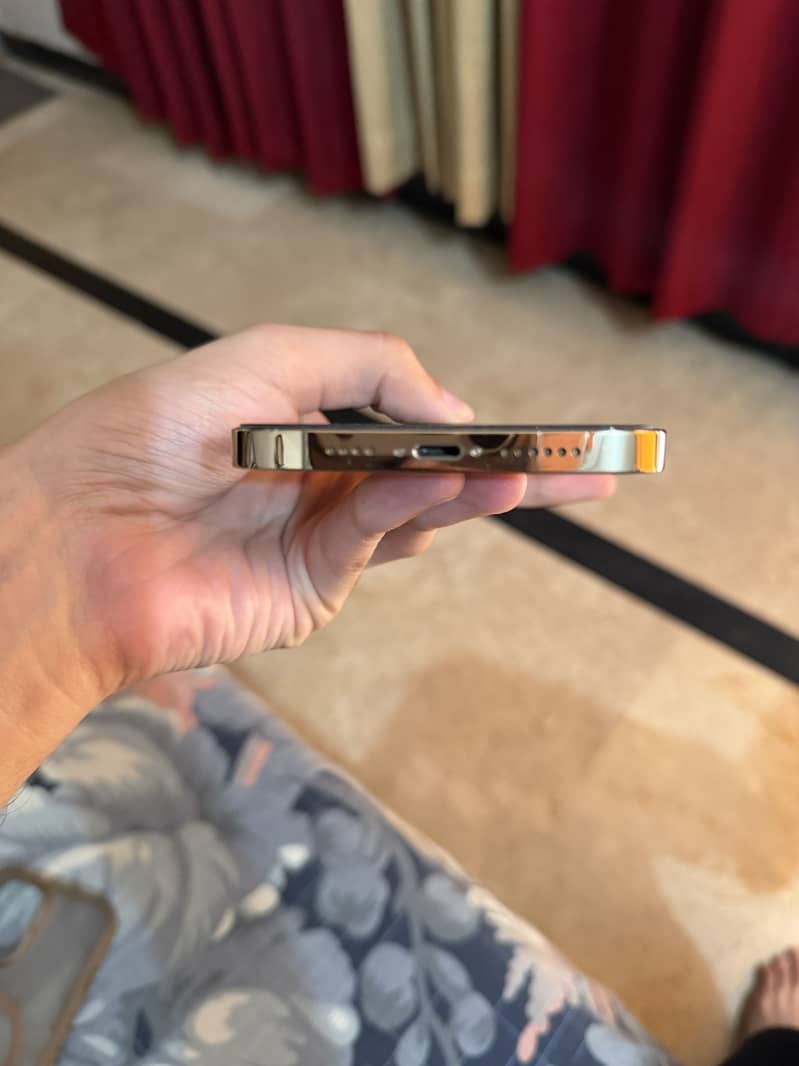 Apple iPhone 12 Pro Max 2
