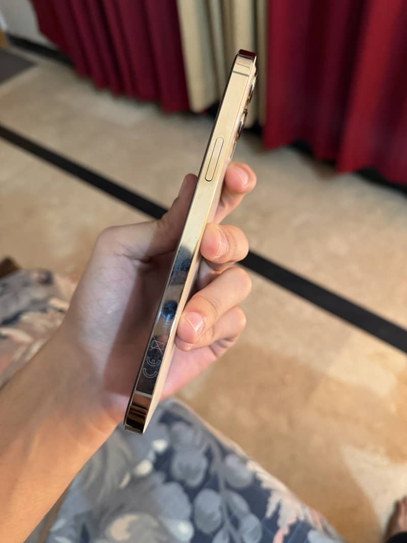 Apple iPhone 12 Pro Max 3