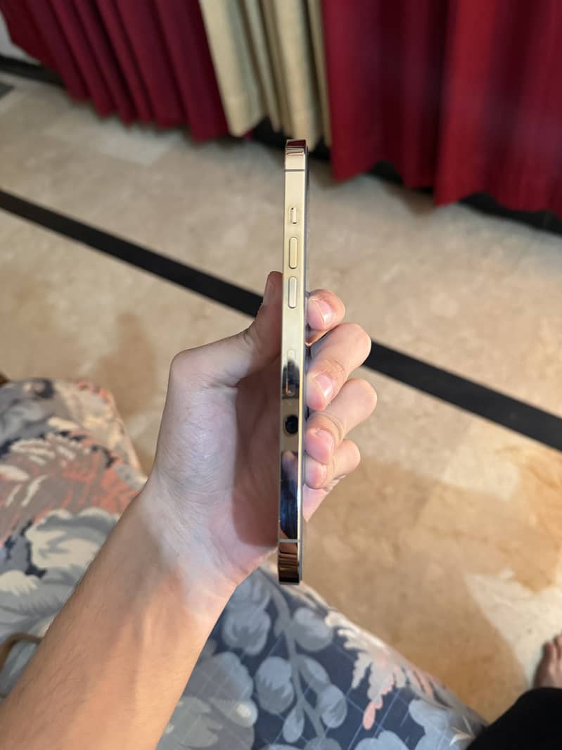 Apple iPhone 12 Pro Max 4