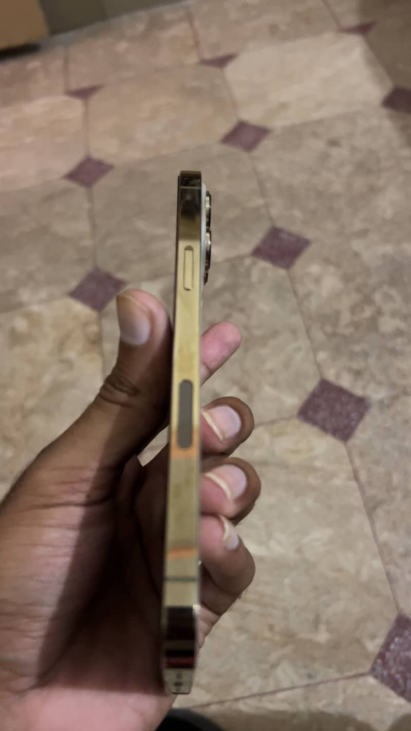 Apple iPhone 13 Pro Max 3