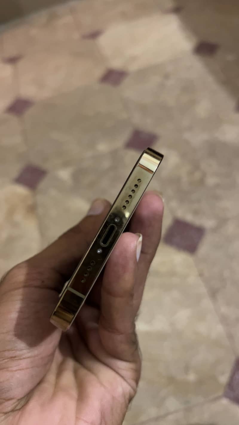 Apple iPhone 13 Pro Max 4
