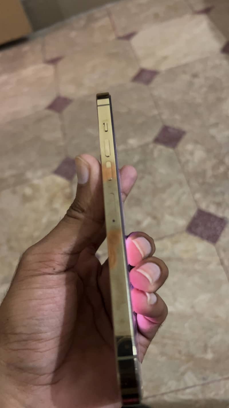 Apple iPhone 13 Pro Max 5