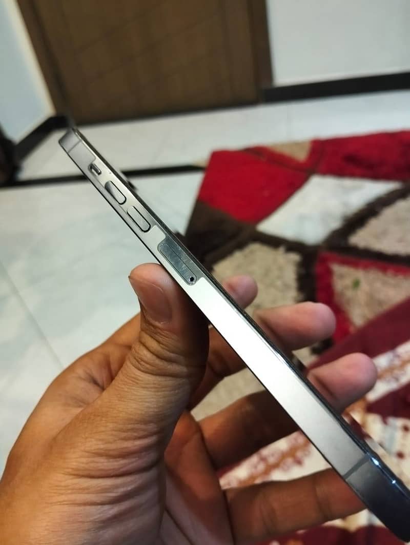 Apple iPhone 13 Pro Max 1