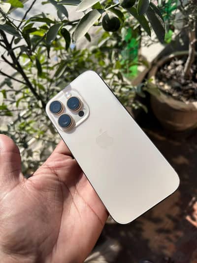 Apple iPhone 16 Pro bypass
