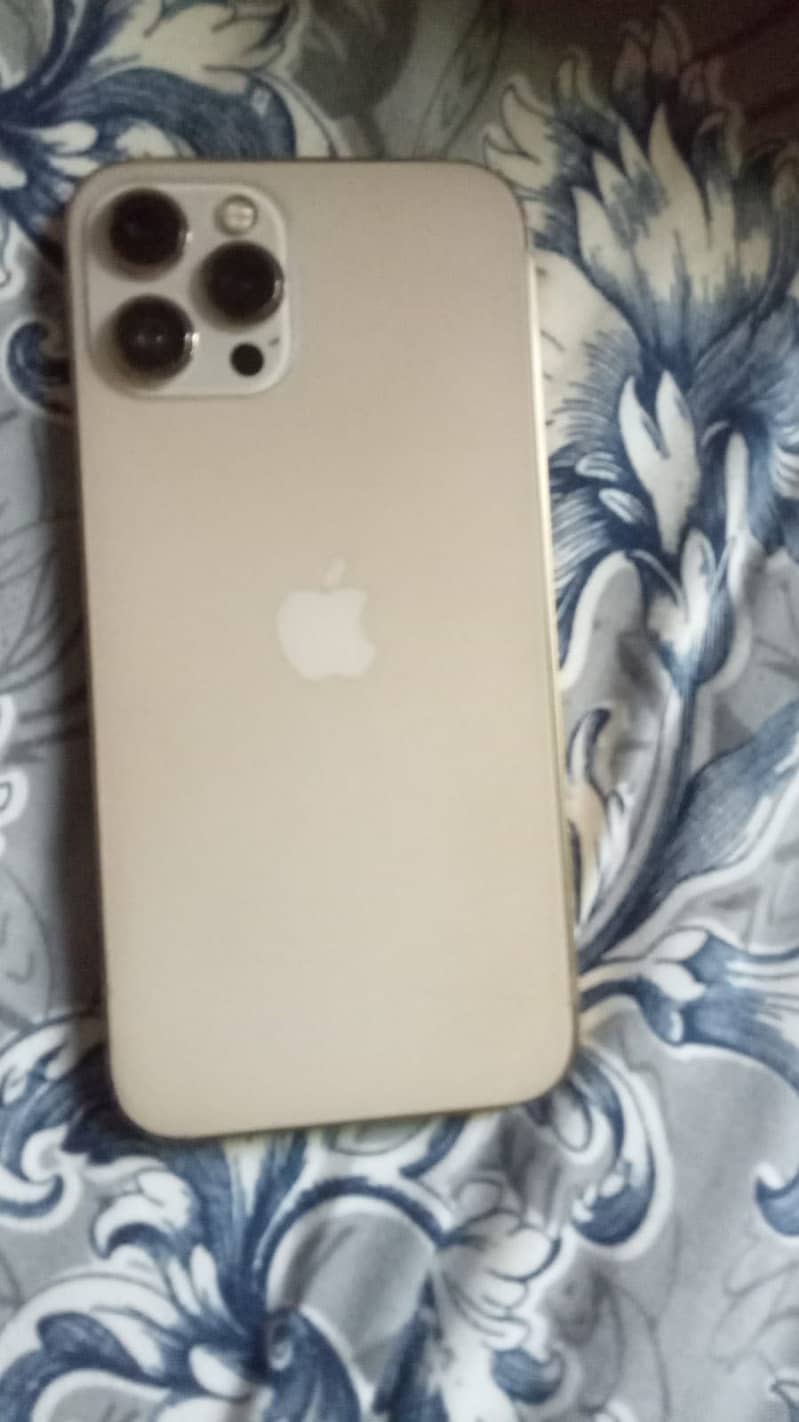 Apple iPhone 12 Pro Max 1