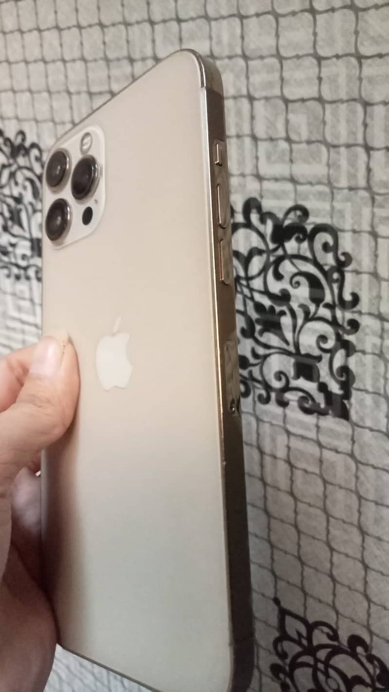 Apple iPhone 12 Pro Max 0