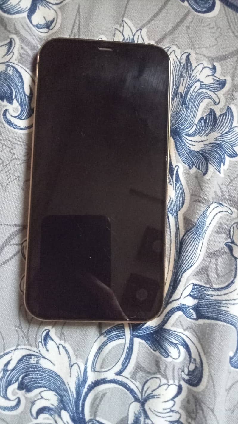 Apple iPhone 12 Pro Max 4