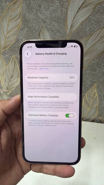 Apple iPhone 12 Pro