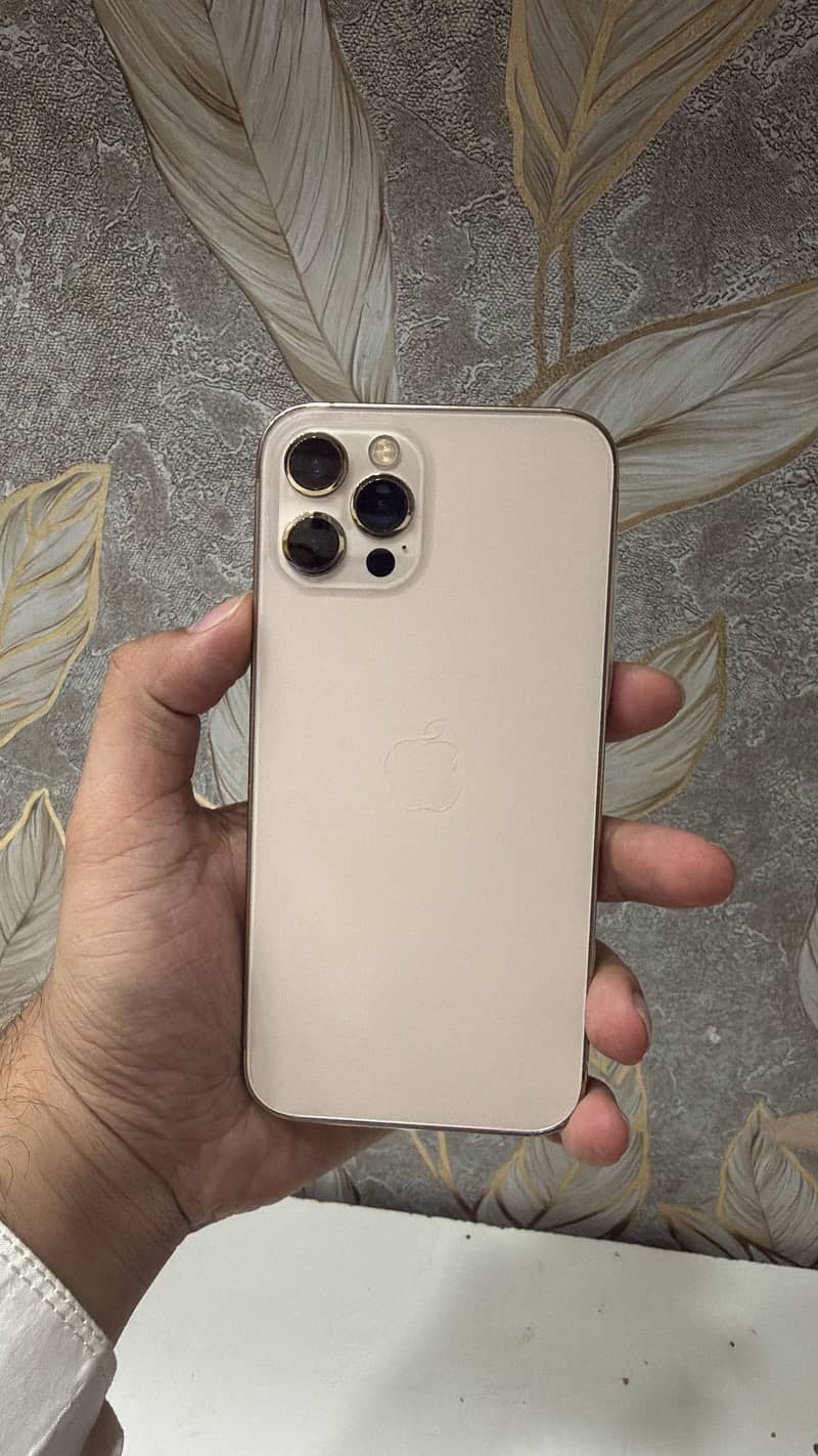 Apple iPhone 12 Pro 2