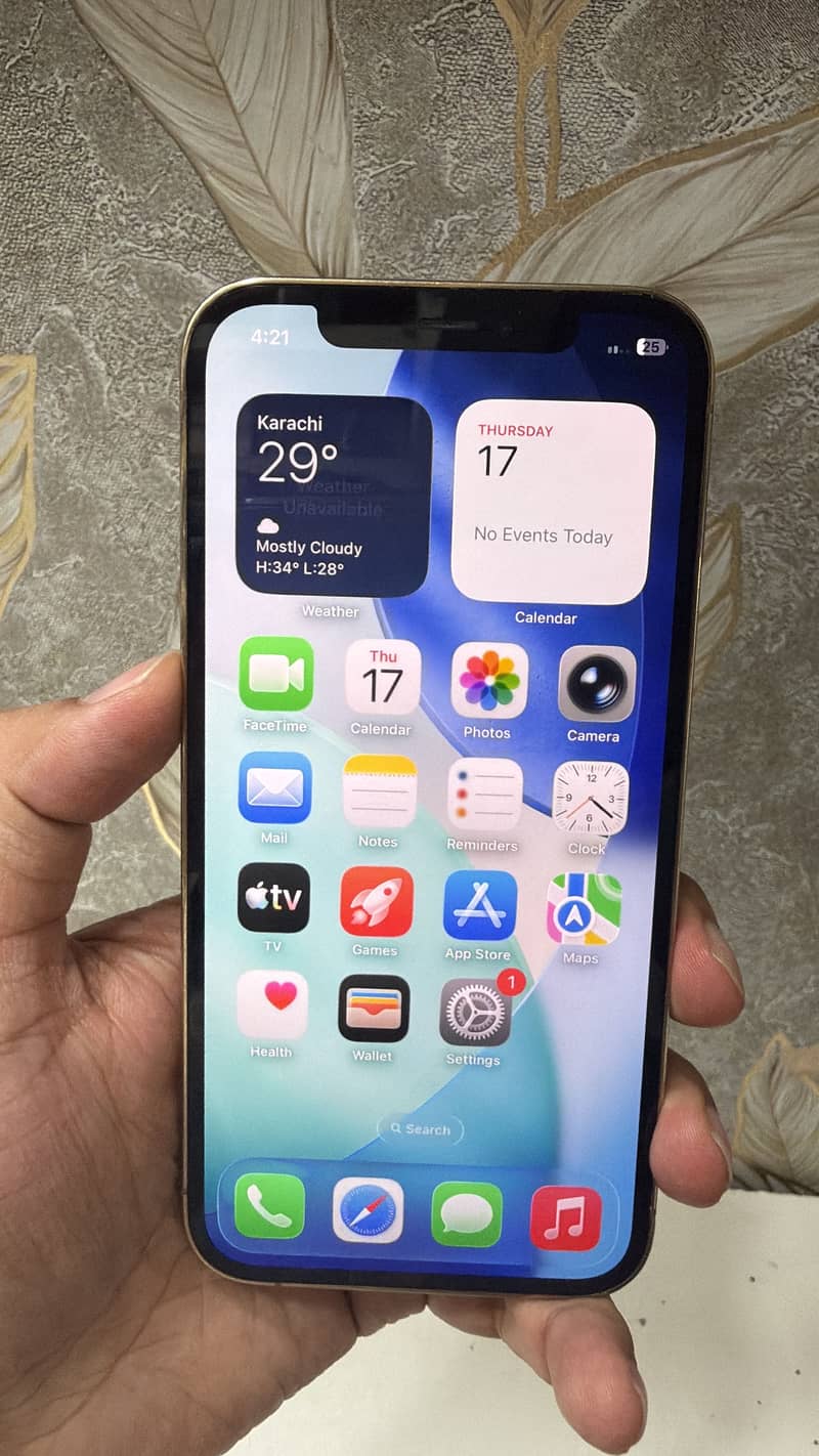 Apple iPhone 12 Pro 3