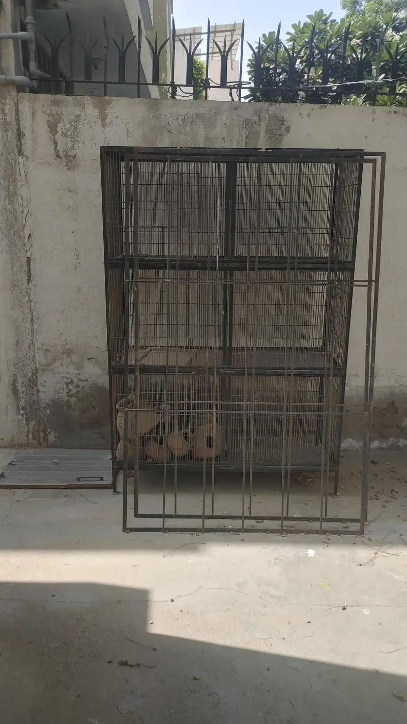 2x2 ka pinjara cage. — photo 2