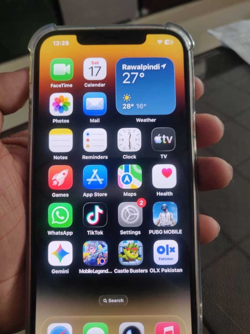 Apple iPhone 12 Pro Max 1