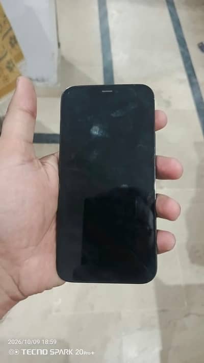 iphone 12 pro dual pta