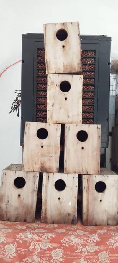 Birds Breeding Boxes