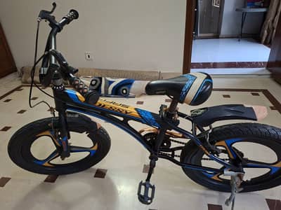 Imported Children Bicycle (Japan)