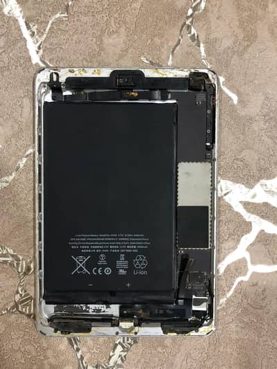ipad Mini 2