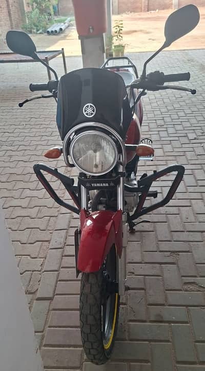 Yamaha YB 125Z-DX Urgent For Sale | Total Geniune | Need Money