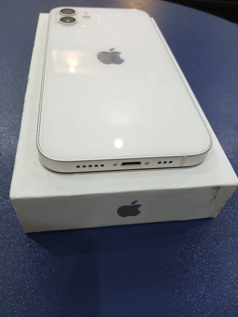 Apple iPhone 12 1