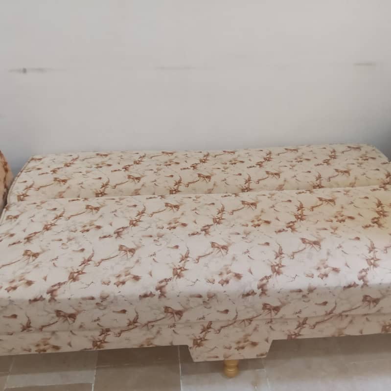 Sofa Cum Bed 2