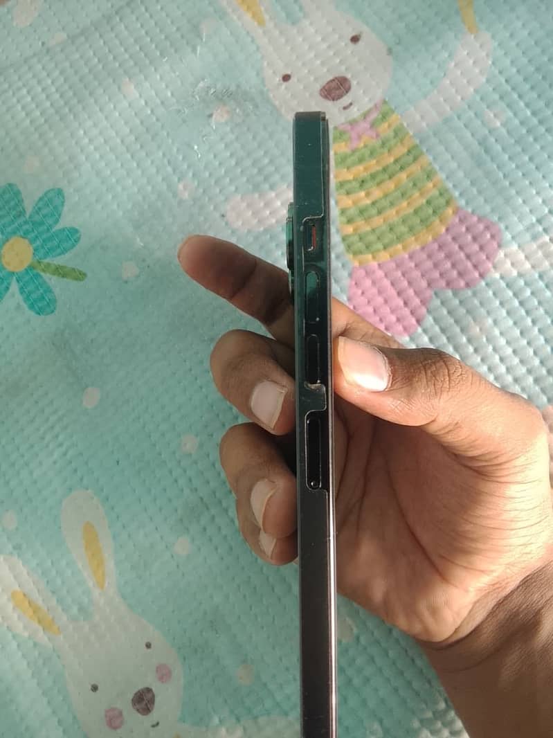 Apple iPhone 13 Pro Max 0