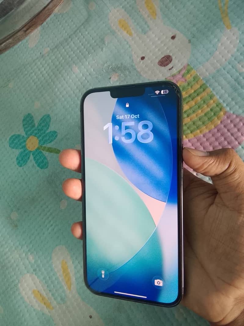 Apple iPhone 13 Pro Max 2