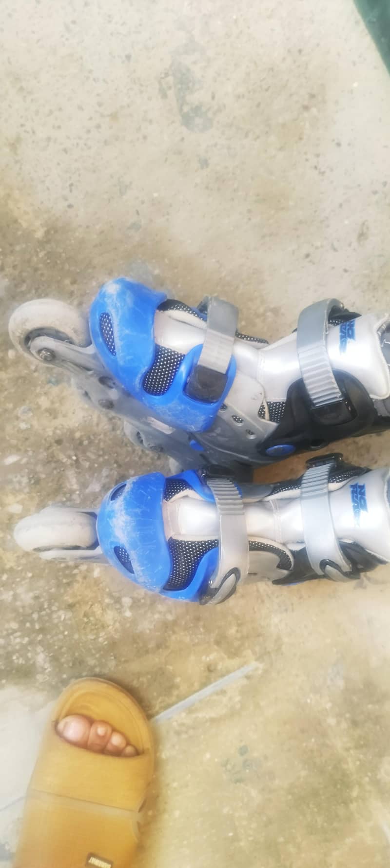 skating shoes 0