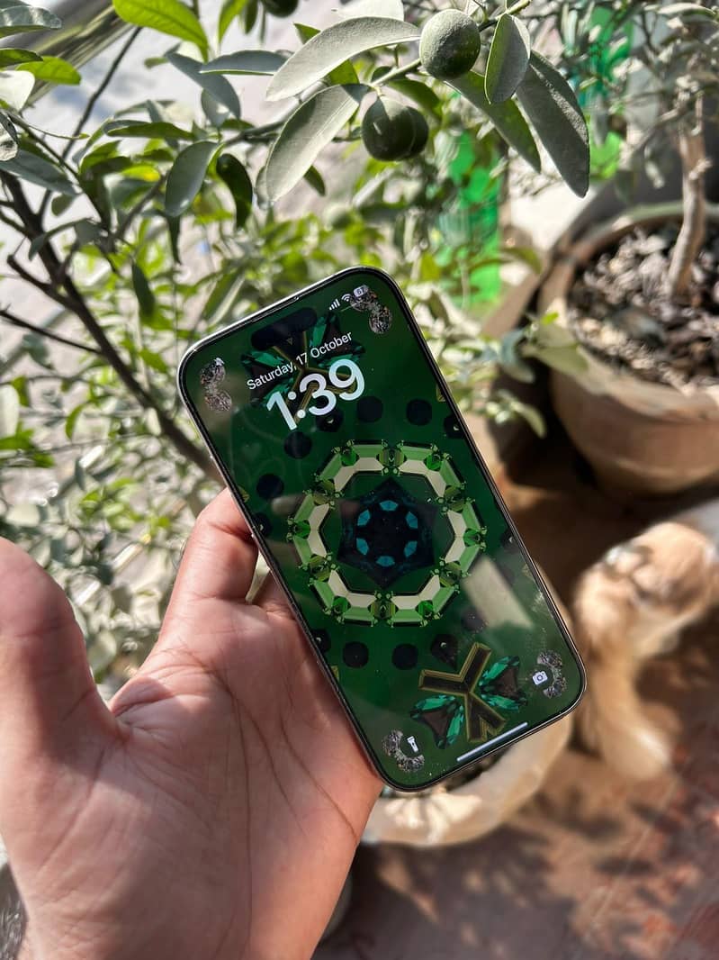Apple iPhone 16 Pro Mdm 0