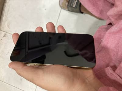 13 pro max fu 256gb
