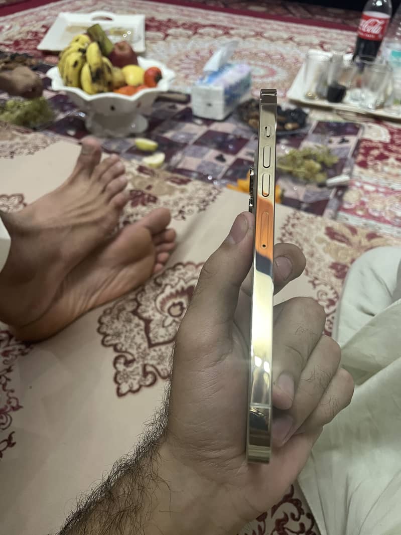 Apple iPhone 13 Pro Max 4