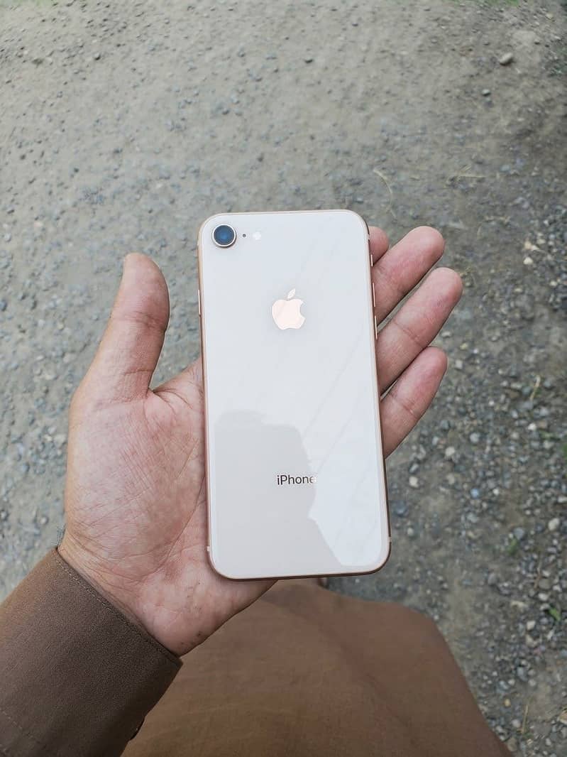 Apple iPhone 8 1