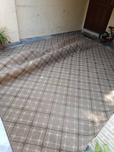 Carpet