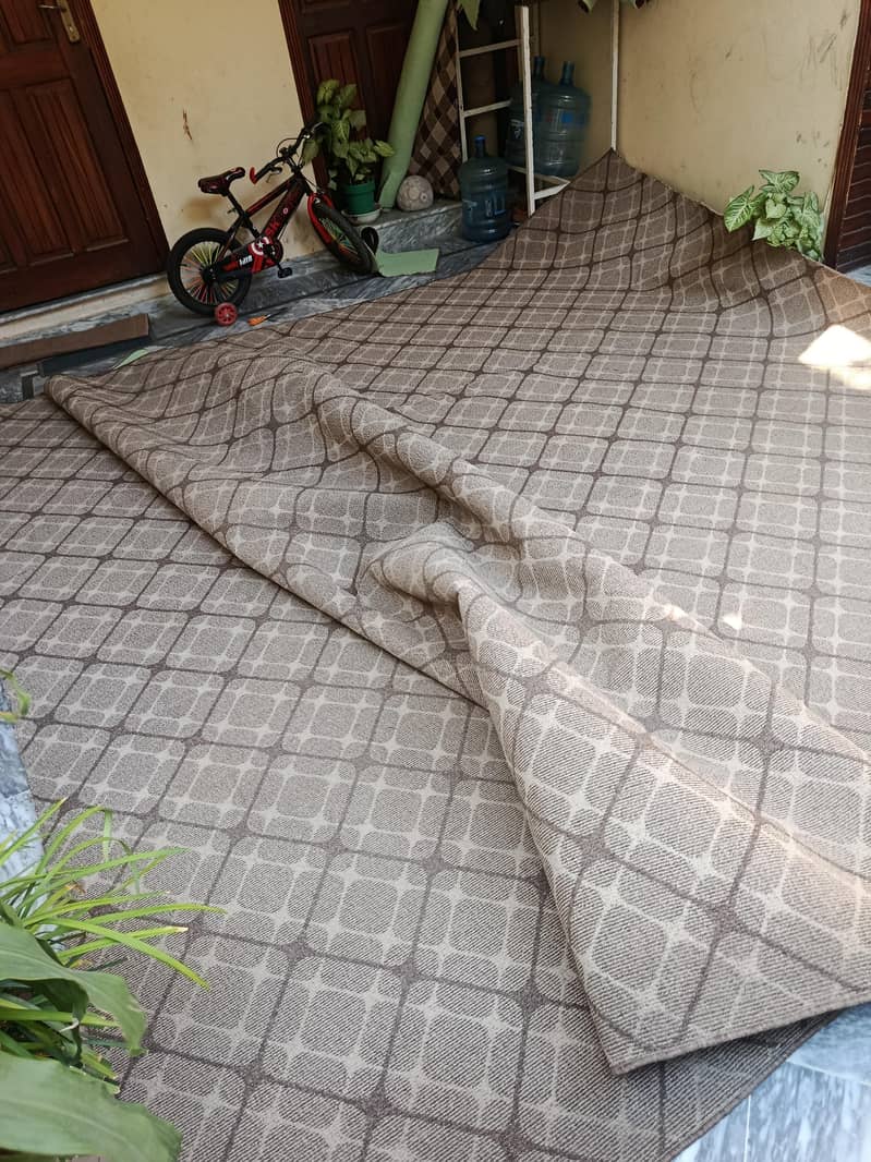 Carpet 1