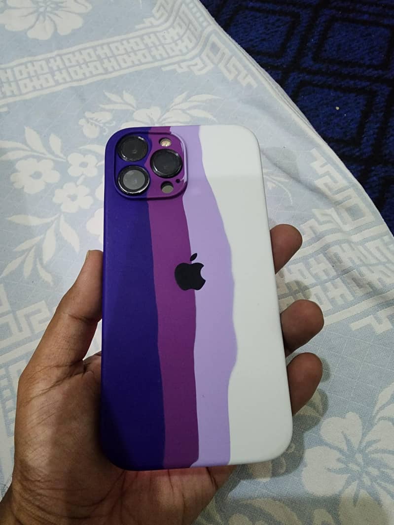 Apple iPhone 13 Pro Max 1