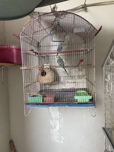 3 row bird cage and a small cage
