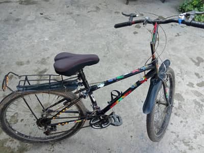 cycle important Japan ke ha company Panasonic ha es ko paint  hud keya