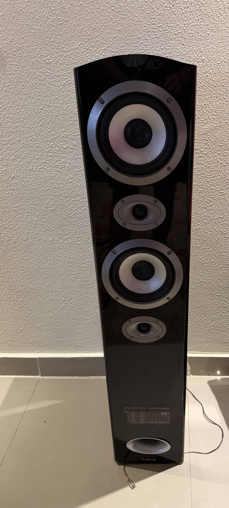 Audionic Classic Speakers(Pair) 1