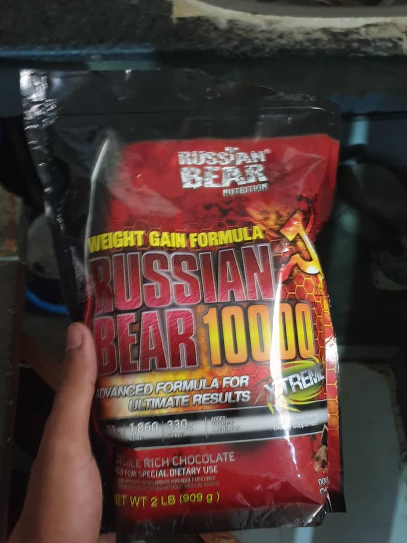 Russian bear weight gainer 2