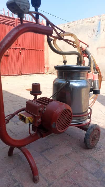 Used Cow Milking Machine