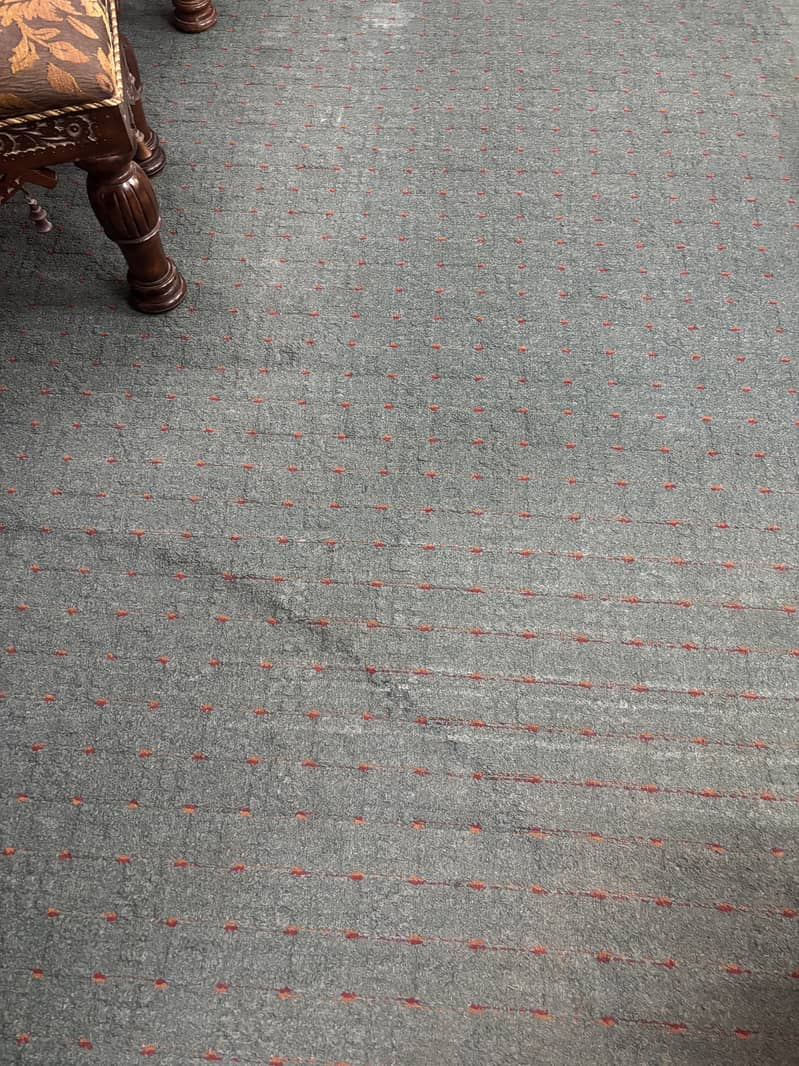 Carpet with Under Layer 1
