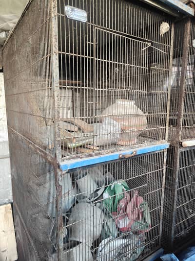 cages (pinjra) for birds