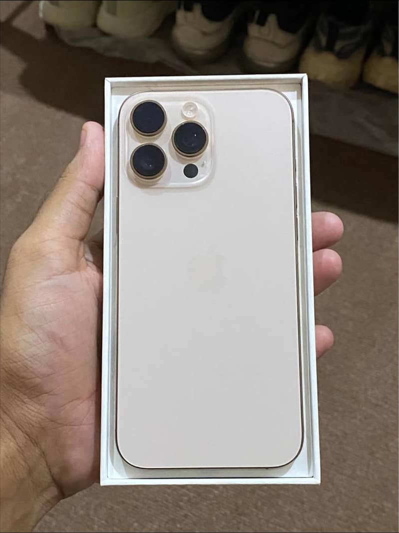 Apple iPhone 16 Pro Max 1