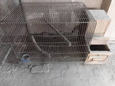 Used Iron Bird Cage with Wooden Nest Box